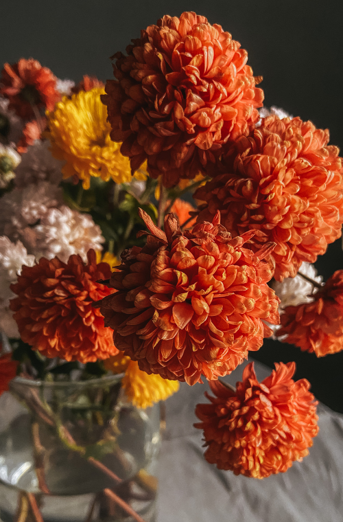Détail d'un bouquet