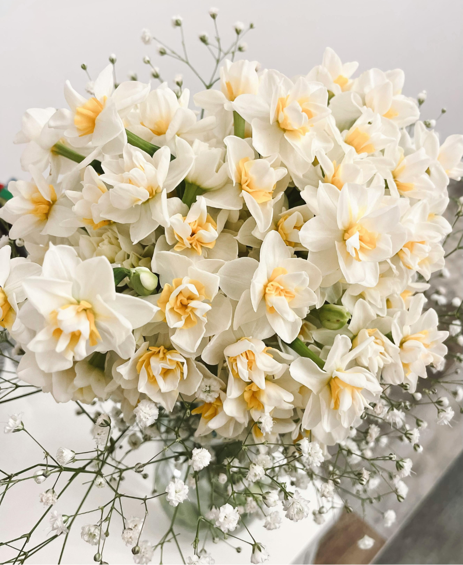 Bouquet Éclat Blanc